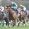 【競馬】ディーマジェスティは菊路線へ　今夏休養、セントライト記念で復帰
