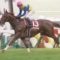 【競馬】エアスピネルが勝てそうなG1