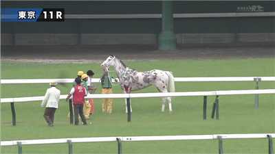 【競馬】白毛にブチ模様で人気のブチコ、2戦続けて競走除外　ゲートを越えて放馬しラチにぶつかり流血…6/4東京11R