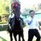 【競馬】横山と藤沢がまさかの和解ｗｗｗｗｗｗｗｗｗｗｗｗｗ