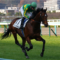 【競馬/金鯱賞】サトノダイヤモンドさん、ルメールに追われてようやく調教でやる気を出す