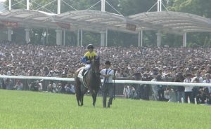 【競馬】マカヒキ、放牧しても馬体成長してなかった 【競馬】マカヒキ、放牧しても馬体成長してなかった