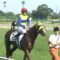 【競馬】エアスピネル、生まれた時代を間違える