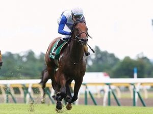 【競馬】ロードクエストは横山典弘騎乗でマイルCSへ 【競馬】ロードクエストは横山典弘騎乗でマイルCSへ