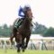 【競馬/京成杯AH】お前らってロードクエスト新潟2S勝った時騒いでなかったっけ？