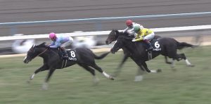 【競馬】パールコード、今日の地方ダート重賞マリーンC出走に否定的な意見が相次ぐ 【競馬】パールコード、今日の地方ダート重賞マリーンC出走に否定的な意見が相次ぐ