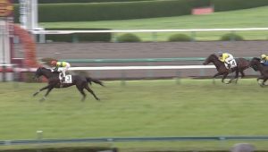 【競馬】デムーロはさ、どんだけ実力馬飛ばすの? 【競馬】デムーロはさ、どんだけ実力馬飛ばすの?