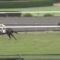 【競馬】デムーロはさ、どんだけ実力馬飛ばすの？