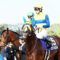【競馬】エアスピネル再来週に帰厩、神戸新聞杯から菊花賞へ