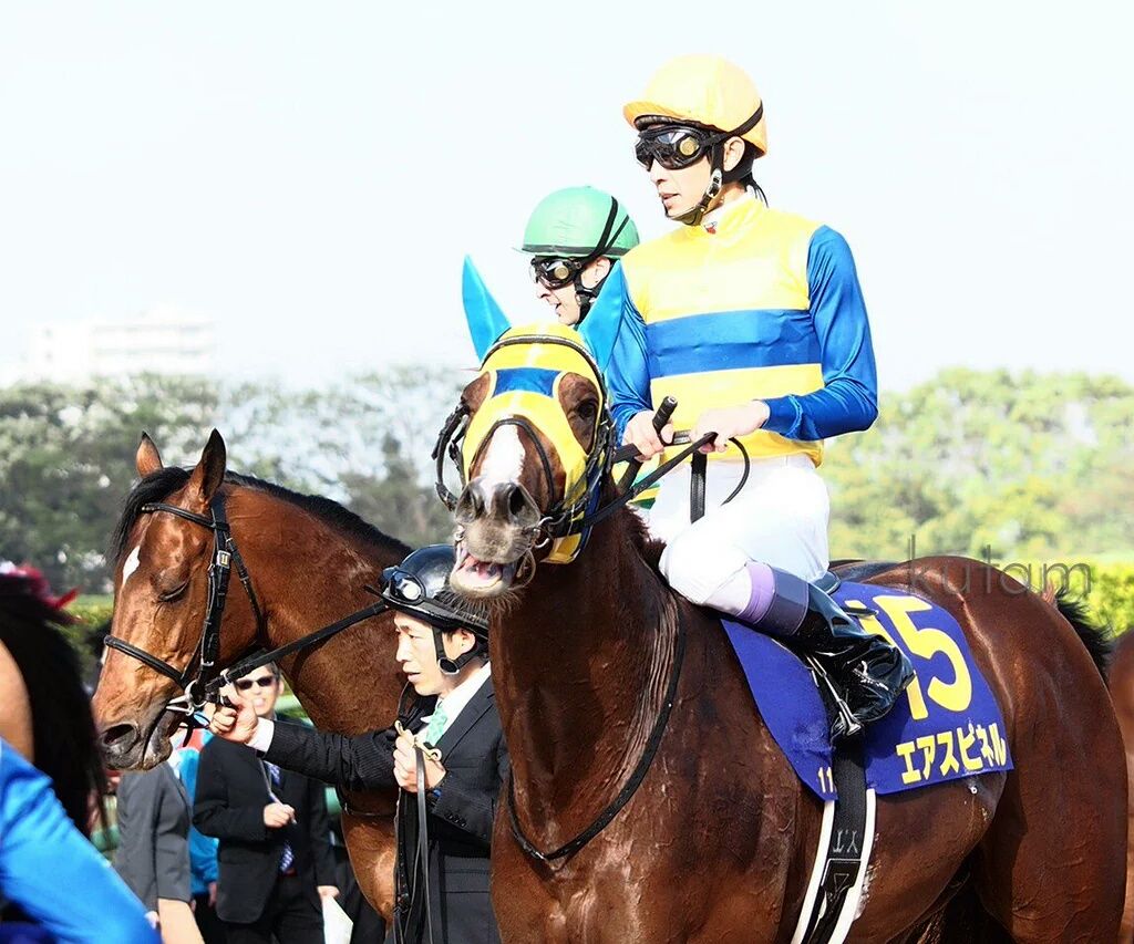 【競馬】エアスピネル再来週に帰厩、神戸新聞杯から菊花賞へ