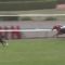 【競馬/ダービー】池江「調教だとサトノアーサーはアルアイン、ペルシアンナイトを完全に子ども扱いする。能力はＮｏ１」