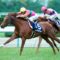 【競馬】テイエムオペラオーの代表産駒テイエムトッパズレwwwwww