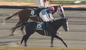 【競馬/桜花賞】ルメール「マイルならソウルスターリングだけど、2000、2400ならアドマイヤミヤビが上」