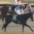 【競馬】ルメール重大証言、ソウルスターリングとアドマイヤミヤビ比較論