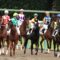 【競馬】菜七子が美浦の騎手連中にモテモテな件