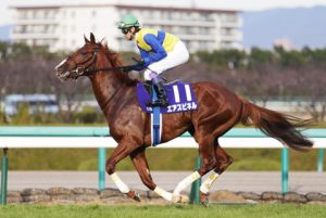 【競馬】エアスピネルってこれからが本番だよな 【競馬】エアスピネルってこれからが本番だよな
