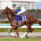 【競馬】エアスピネルってこれからが本番だよな