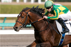 【競馬】サトノダイヤモンドの見た目格好良すぎだろwwwww 【競馬】サトノダイヤモンドの見た目格好良すぎだろwwwww