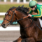 【競馬】サトノダイヤモンドの見た目格好良すぎだろｗｗｗｗｗ
