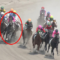 【競馬】東京6R 三浦皇成騎乗メイショウダッサイが4角でものすごい大斜行