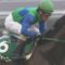 【競馬】ブレスジャーニー、初ダート出走確定