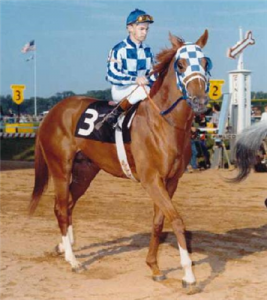 【競馬】ラニ出走で例年より日本競馬ファンが注目するベルモントS！改めて1973年を振り返ってみよう！