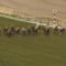 【競馬】競馬ファン置き去り？
