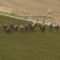【競馬】JRA新CMがサイレンススズカ最強を事実上公認