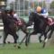 【競馬】ダービー馬、天皇賞馬←カッコいい 大阪杯馬←