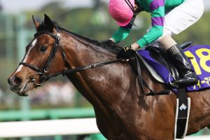 【競馬】マカヒキよりサトノダイヤモンドやディーマジェが欧州いったほうが良かったのでは？■