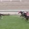 【競馬】四位の一着なんて買えねーんだよクソがよ