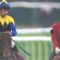 【競馬】マカヒキ　ルメール「７～８分の出来。クビ差だけど楽勝」　友道「完璧なステップレース」