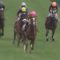 【競馬】藤沢和雄厩舎が落ちぶれた理由とは?