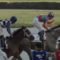 【競馬】アメリカ三冠に挑むラニ陣営に比べ社台やサンデーレーシングの情けなさは異常