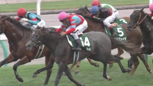 【競馬】モレイラに対抗できるのは戸崎だけだなこりゃ