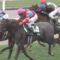 【競馬】モレイラに対抗できるのは戸崎だけだなこりゃ