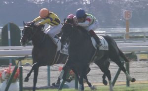【競馬】シーザリオ仔グローブシアターなんでこんなに強いのに干されてたの？