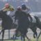 【競馬】超良血グローブシアター、中山500万条件山吹賞にひっそりと出走