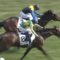【競馬】マカヒキが菊花賞から逃亡ｗｗｗｗｗ