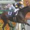 【競馬】Ｇ１・３勝ストレイトガールに初子誕生　父フランケルの牡馬は「１３冠ベビー」