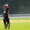 【競馬】武さんのダービー５勝は全然すごくない