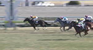 【悲競馬】サロニカ(浜中騎乗)、桜花賞出走取り消し【ディープ牝馬】 【悲競馬】サロニカ(浜中騎乗)、桜花賞出走取り消し【ディープ牝馬】