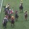 【競馬】坂井瑠星がまた落馬