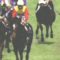 【競馬】顕彰馬に1頭だけ場違いな馬居るよな