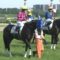 【競馬】ダービー６着馬スマートオーディン、名門・池江厩舎へ転厩　馬主サイドと旧所属厩舎サイドとの方針相違が原因か。