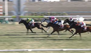 【競馬/宝塚記念】サトノクラウン・堀調教師「キタサンブラックを負かすこともできるのではないか」