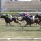【競馬/宝塚記念】サトノクラウンの成績6-0-1-6。堀調教師「自分との戦いの部分が大きい」