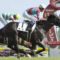【競馬】なぜダービーは特別なのか？