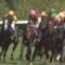 【競馬】福永祐一騎手への「リアルスティール批判」鳴り止まず！ その一方、アノ「地方出身騎手」は再評価の流れ？