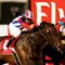 【競馬】AW(オールウェザー)とは何だったのか？